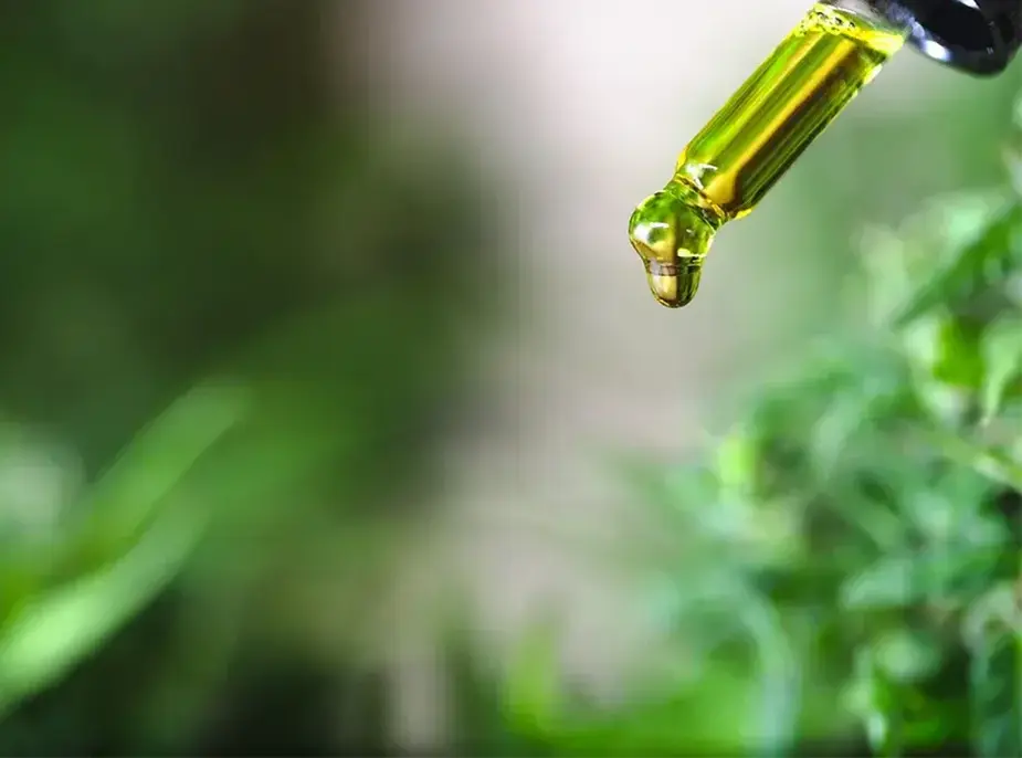 Everything You Need To Know About CBD Oil