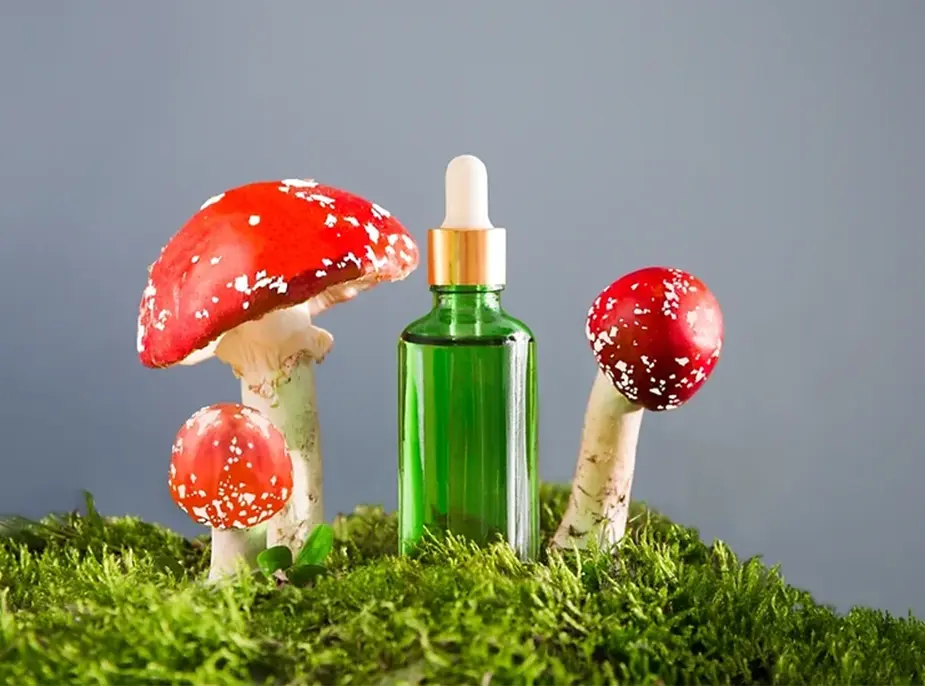 Amanita Muscaria: Effects, Dosage, How To Take It