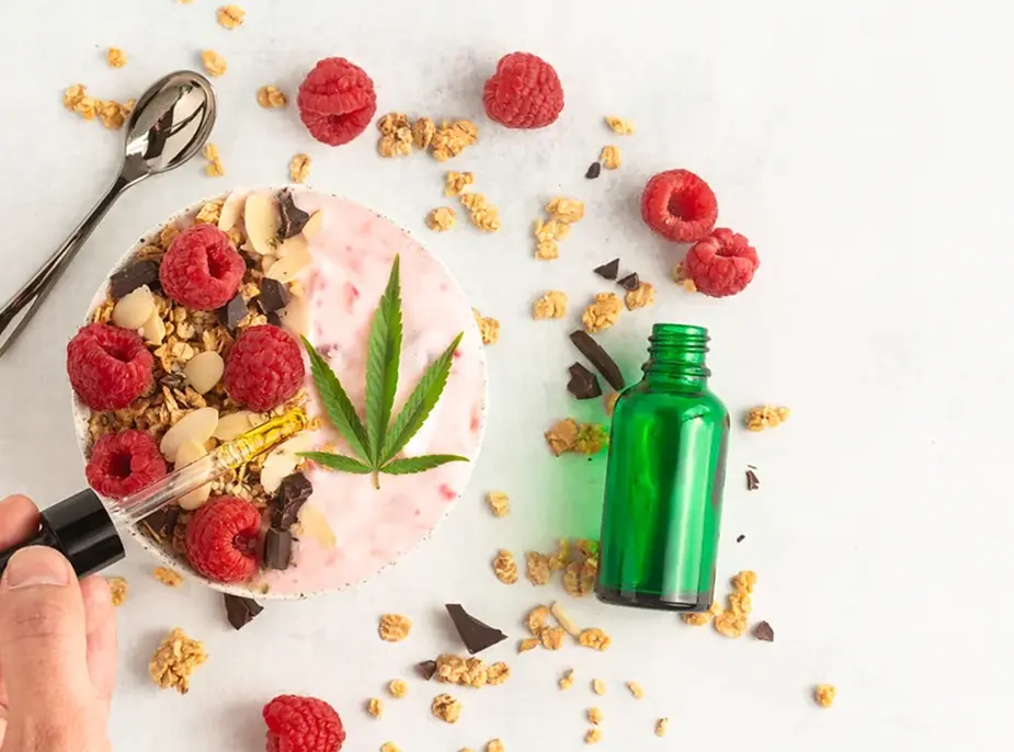 Tincture VS Edible – A Definitive Comparison To See Which Is Better