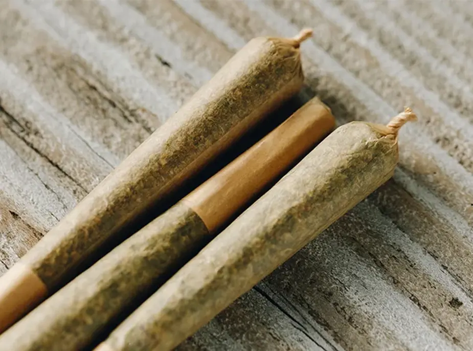 Delving Deeper: The Ins and Outs of Pre-Rolled Blunts