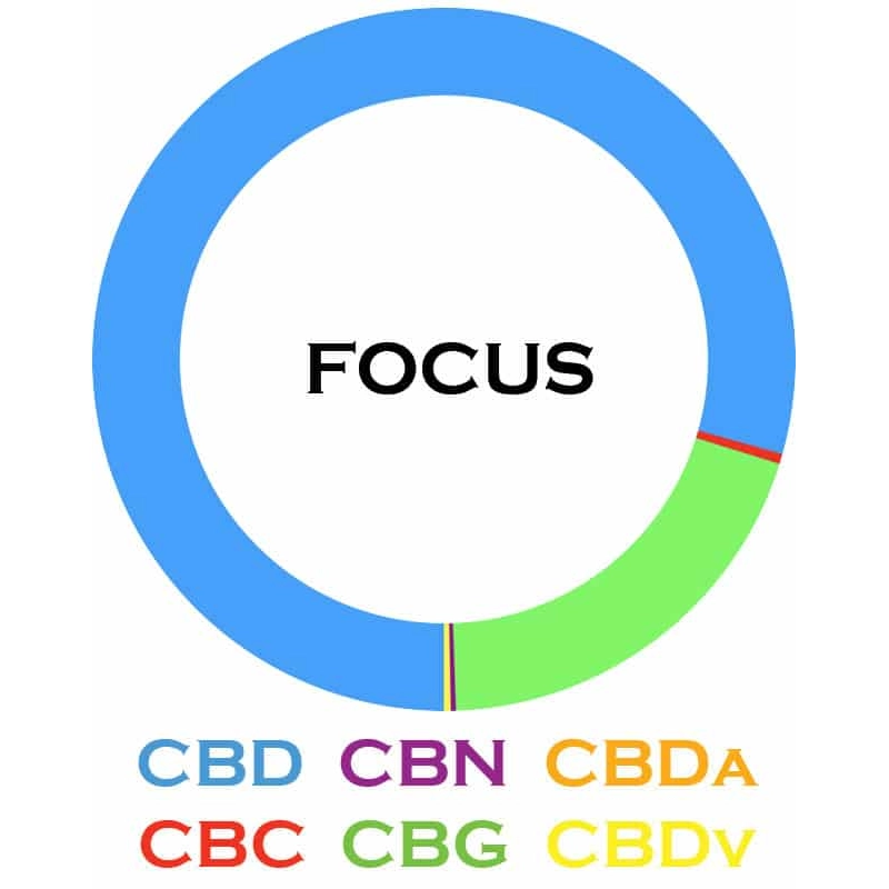 Focus CBD Oil (1500mg)