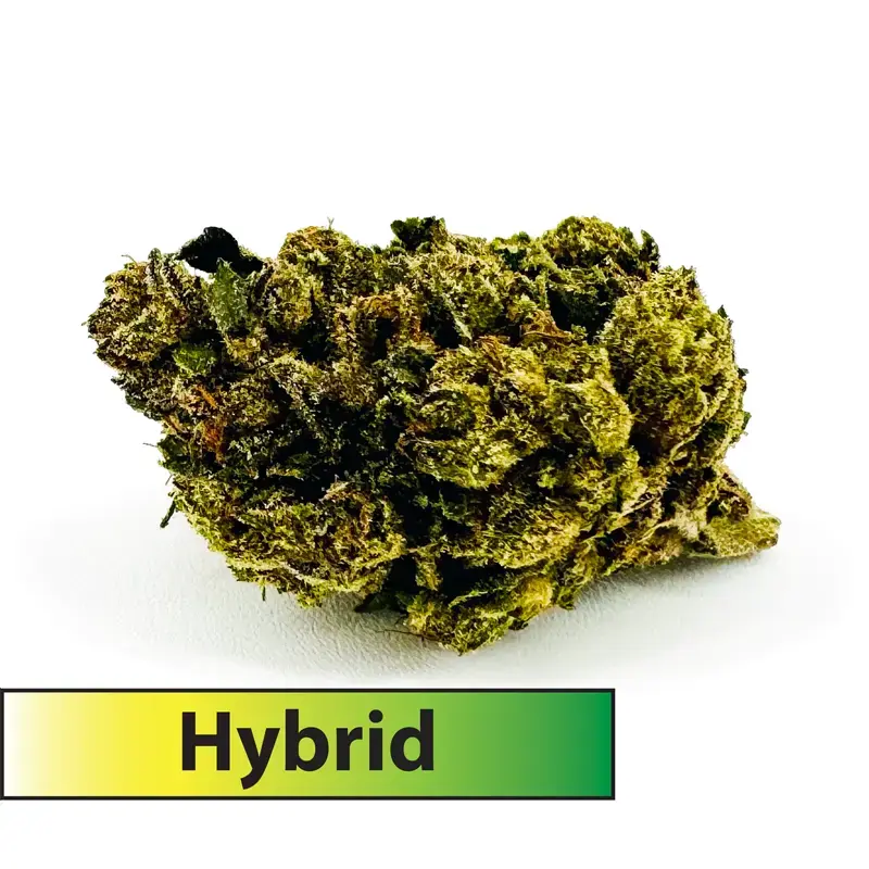 The Truth (Hybrid)-THCA Flower