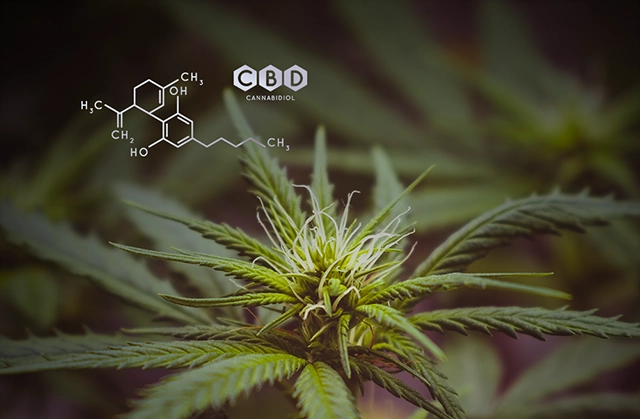 thc-cbd-chemical-structure