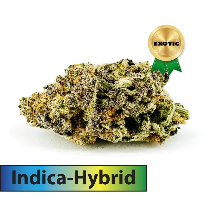 Blue City Diesel - Exotic (Indica Dominant Hybrid)-THCA Flower