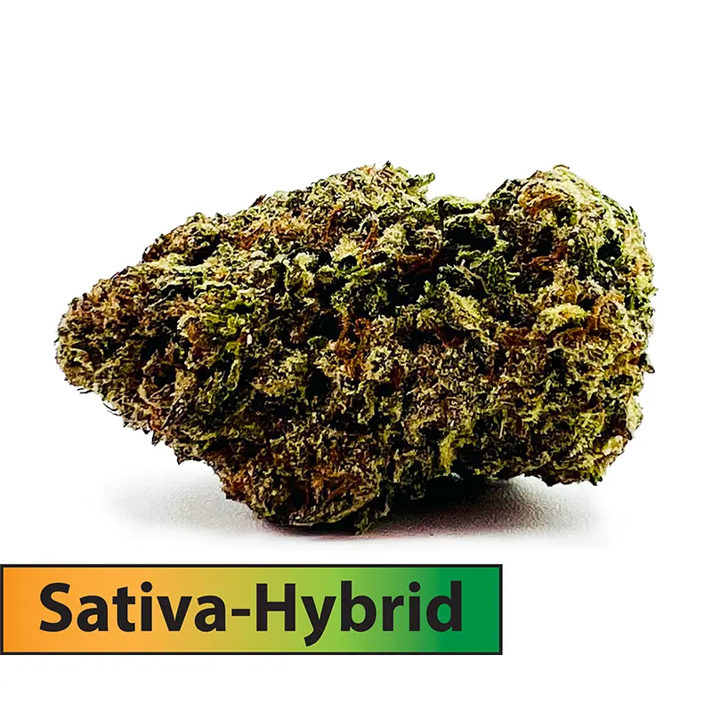 Mendo Milk (Sativa Dominant Hybrid)-THCA Flower