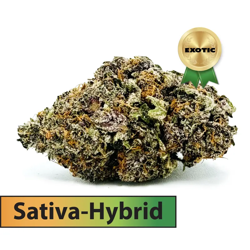 Midnight Oreoz Exotic (Sativa Dominant Hybrid) THCA Flower