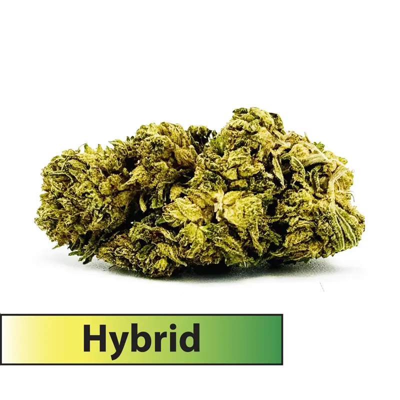 Frosted Brands Pavé Hybrid THCA Flower