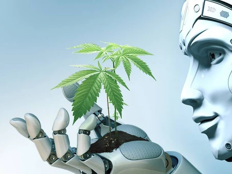 3 Ways AI Will Change the Cannabis Industry