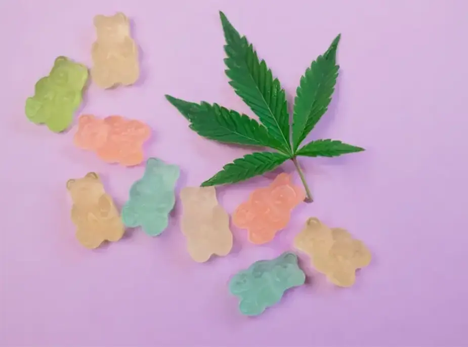 5 Reasons Cannabis Edibles Are Taking The Lead