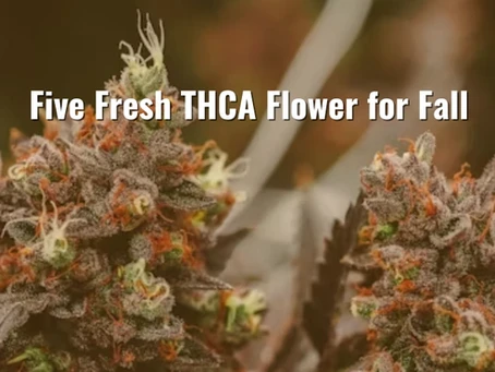 5 Fresh THCA Flower for Fall