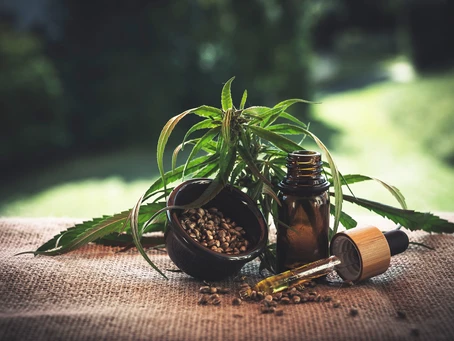 5 Quirky CBD Oil Products You Must Try At Least Once