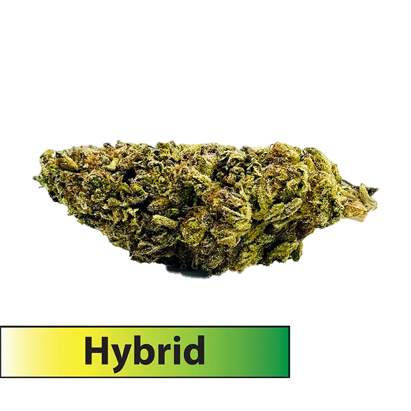 Nightmare OG (Hybrid)-THCA Flower