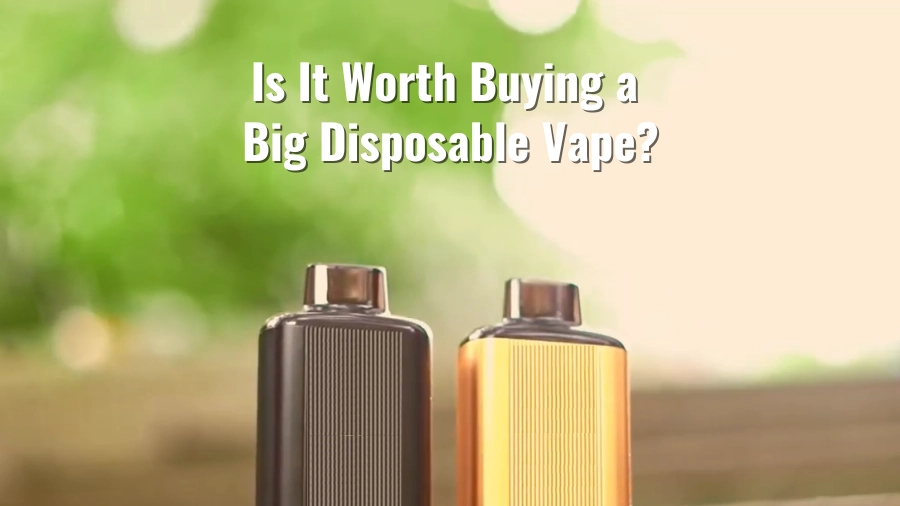 Is It Worth Buying a Big Disposable Vape?