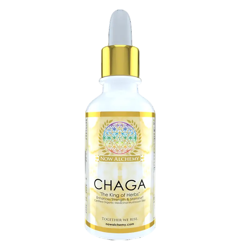 Chaga