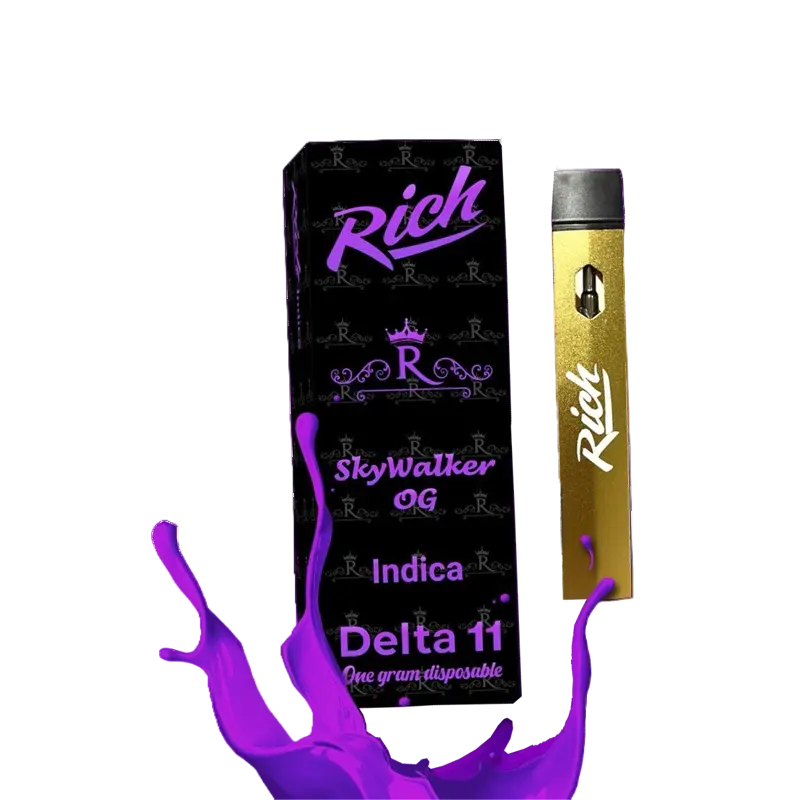 Delta 11 Disposable (1gram)- Rich Brand