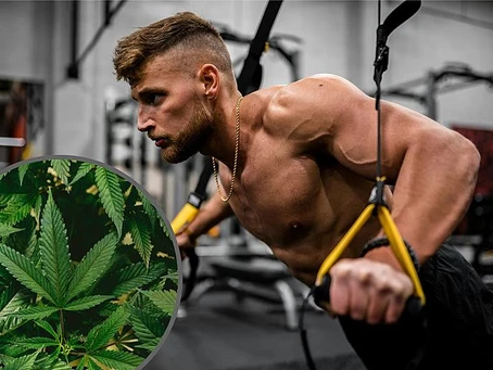 Cannabis Gummies and Fitness: Can They Enhance Your Workout?