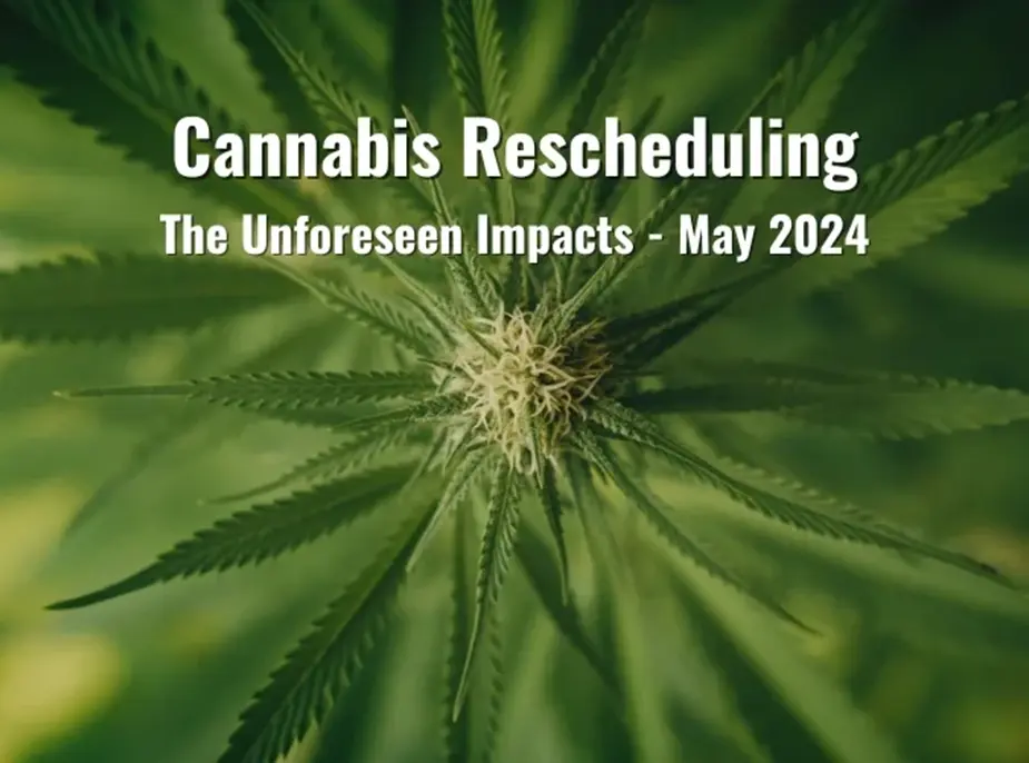 Cannabis Rescheduling: The Unforeseen Impacts – May 2024