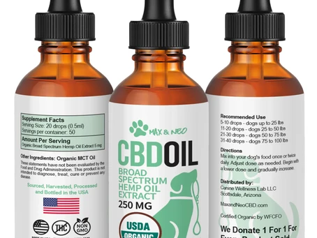 CBD Treats vs. CBD Oil for Pets: Which Is Better for Your Furry Friend?