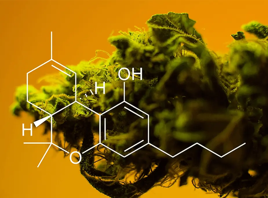 Decarboxylation 101. Going from THCA to THC