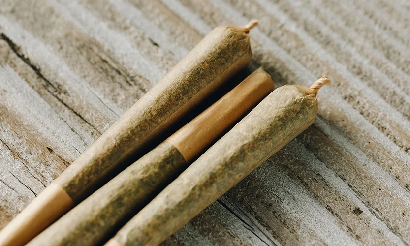 delving-deeper-the-ins-and-outs-of-pre-rolled-blunts