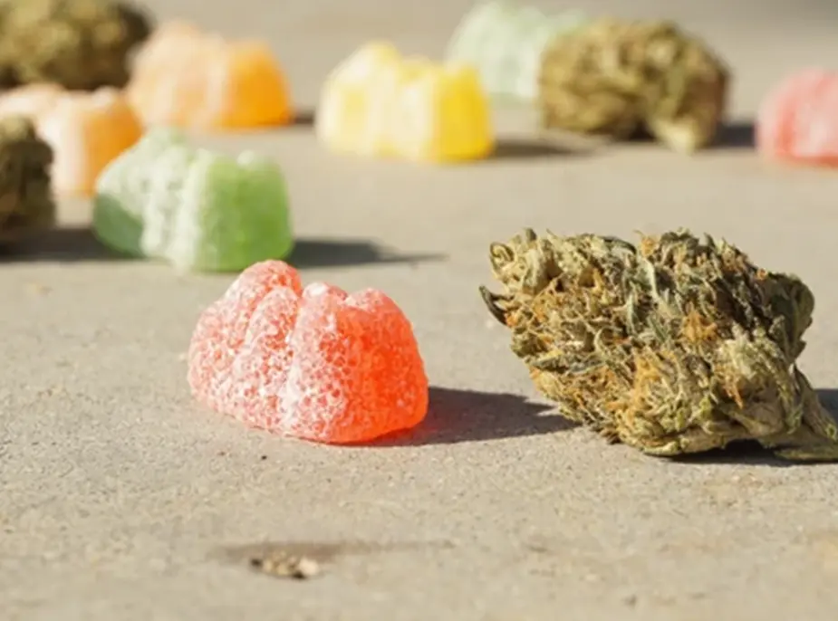 Edibles vs. Smoking: Pros and Cons