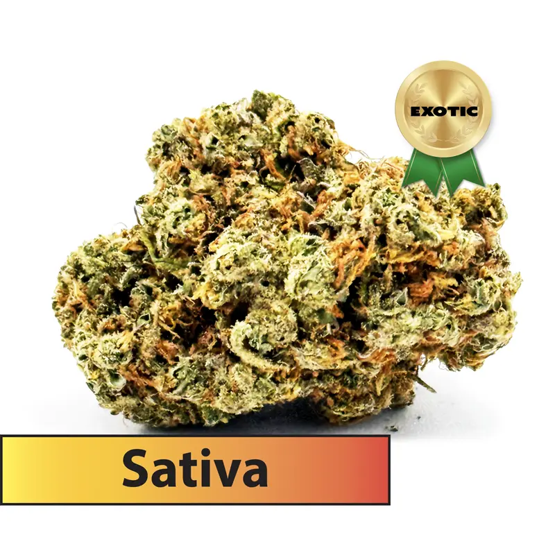 Durban Poison Exotic (Sativa) - THCA Flower