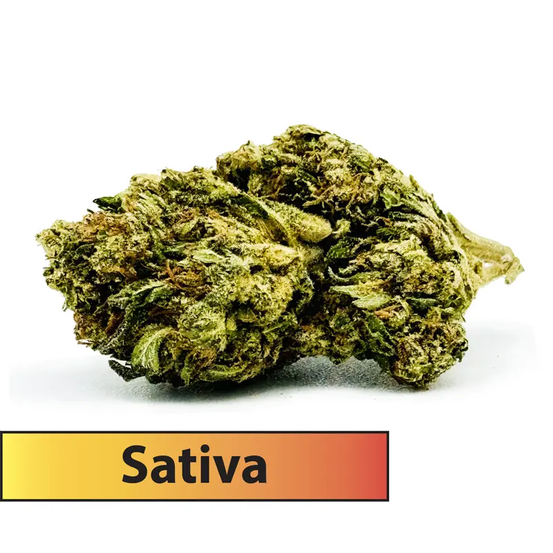 East Coast Sour Diesel (Sativa)- % 31.4 THCA Flower