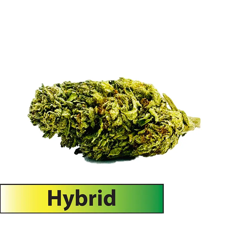 Gelonade (Hybrid)-THCA Flower