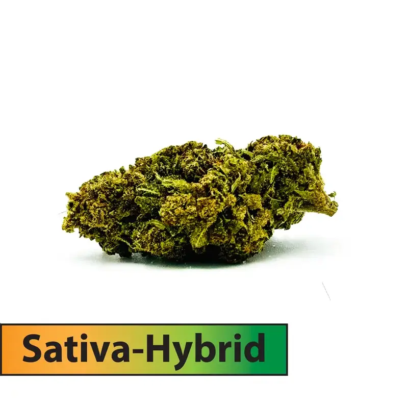 Jack Herer (Sativa Dominant-Hybrid)-THCA Flower