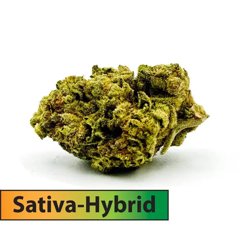 Tropical Runtz (Sativa Dominant Hybrid)-THCA Flower