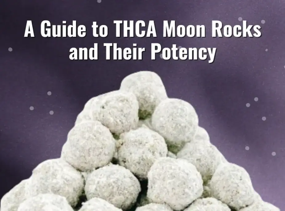 A Guide to THCA Moon Rocks and Their Potency