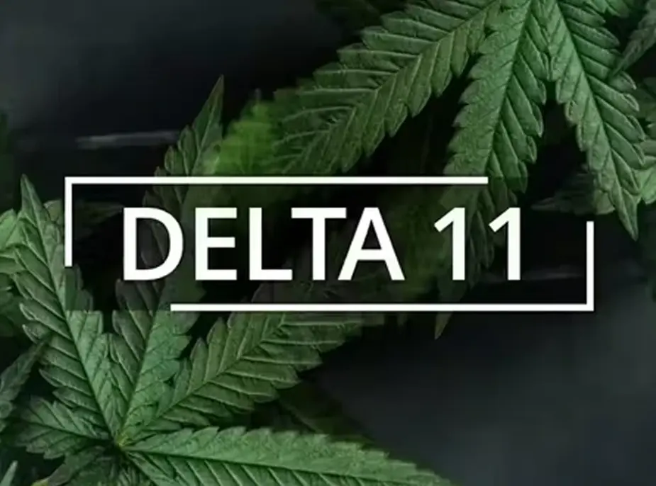 Investigating Delta 11: A Fresh Approach to Cannabis Study