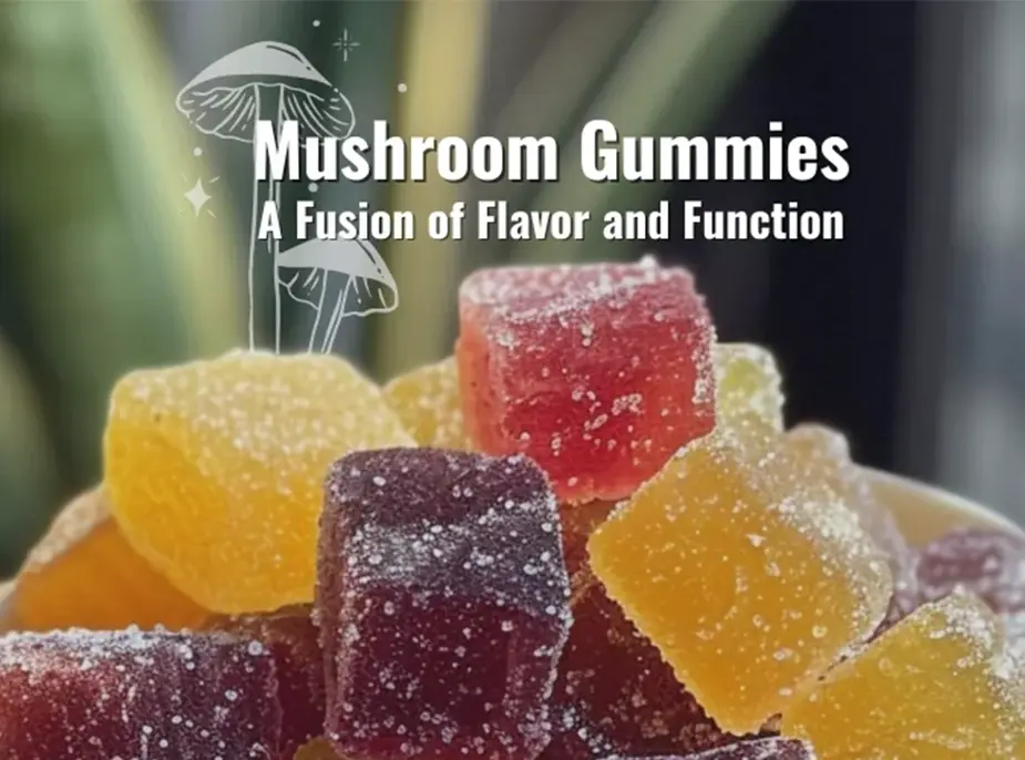 Mushroom Gummies: A Fusion of Flavor and Function