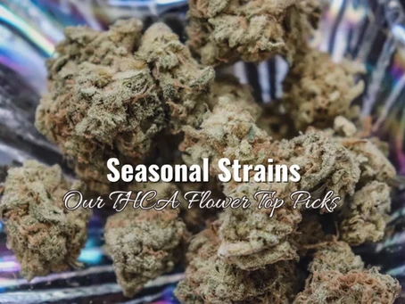 Seasonal Strains: Our THCA Flower Top Picks