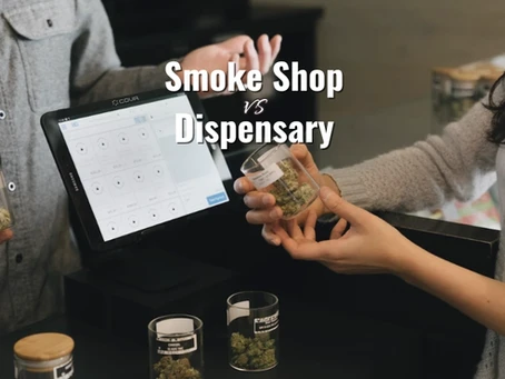 Smoke Shop vs Dispensary: What’s the Difference