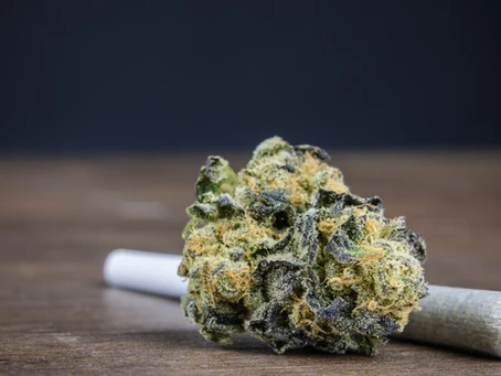 THC vs THCA: Effects, Benefits, and What Sets Them Apart