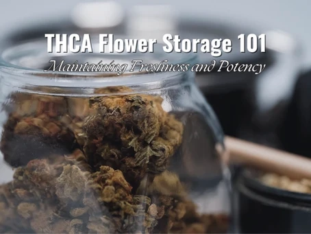 THCA Flower Storage 101: Maintaining Freshness and Potency