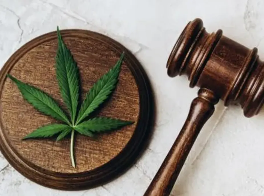 The Cannabis Legalization Landscape: Past, Progress, and Future Prospects