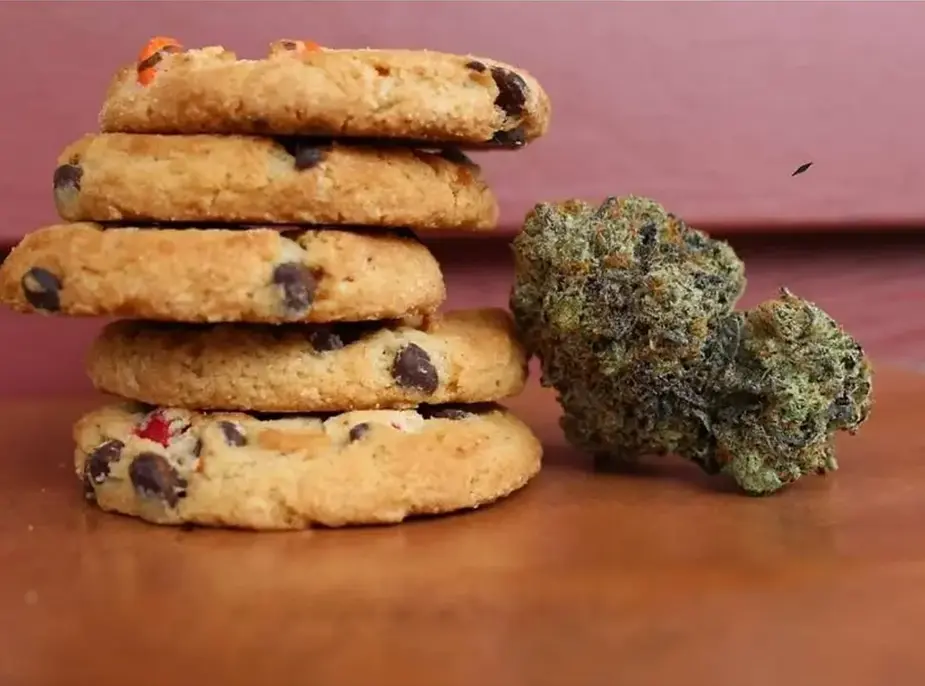 The Science Behind THC Munchies