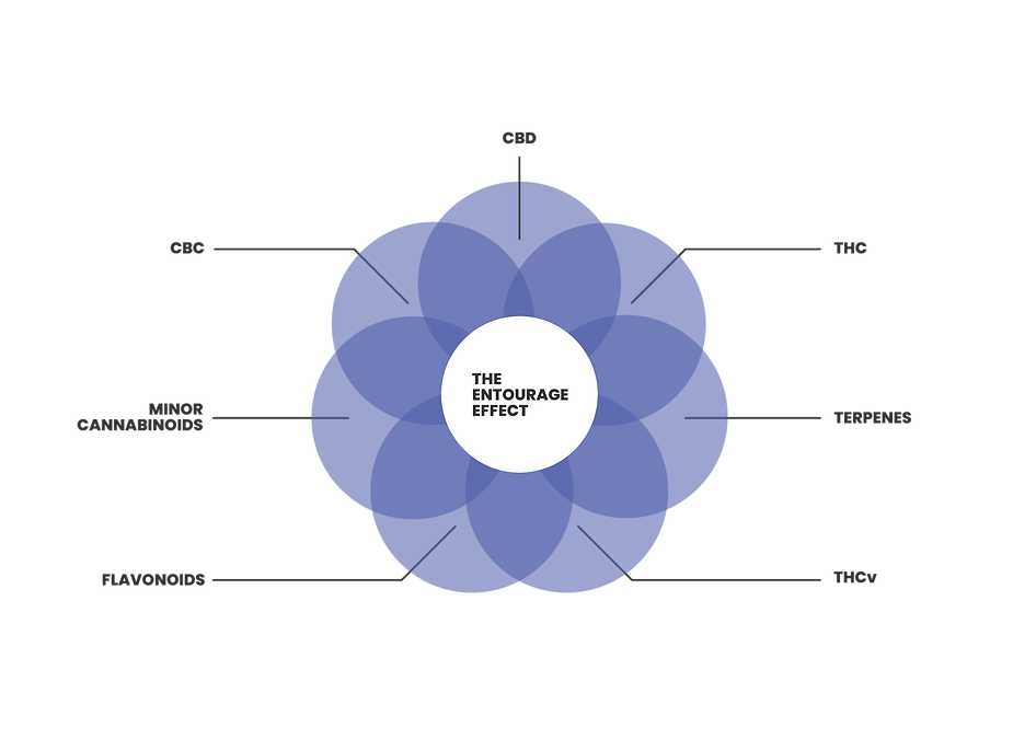 The Truth Behind the ‘Entourage Effect’