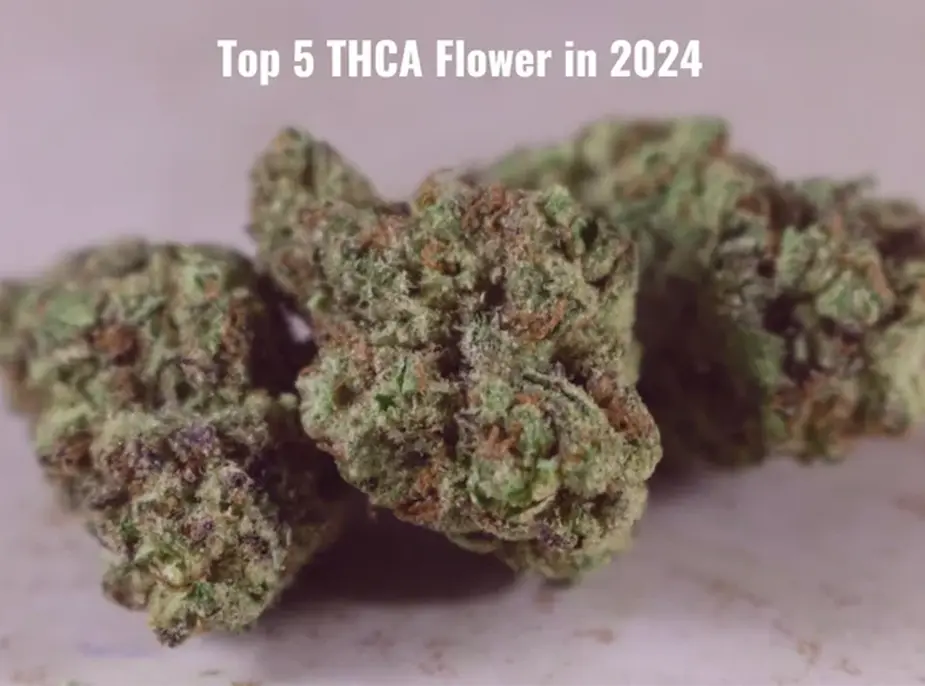 Top 5 THCA Flower in 2024