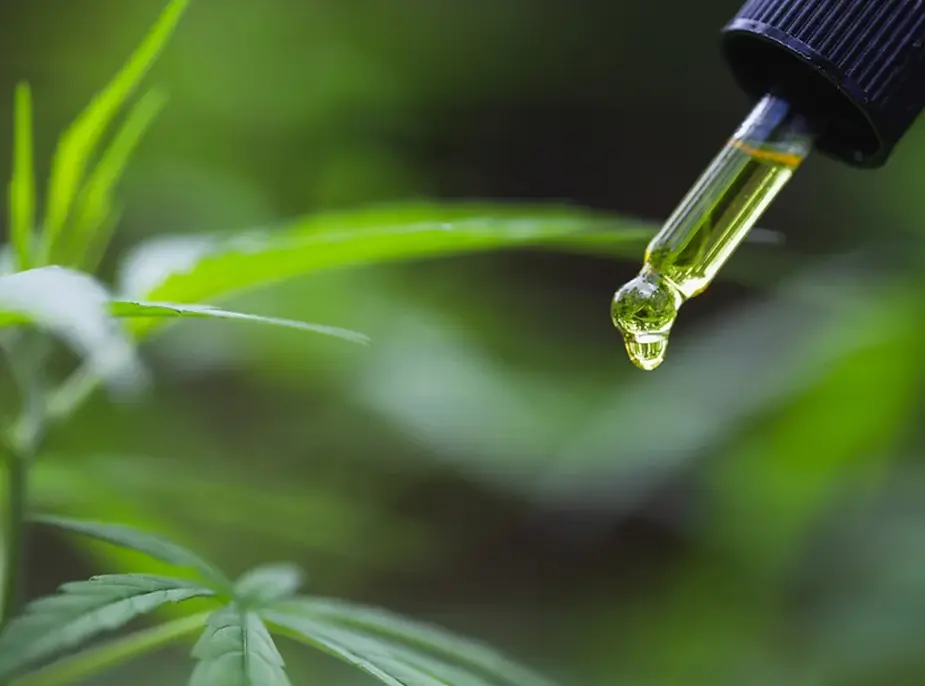 Understanding CBD Oil: Types, Benefits, and Usage Guidelines