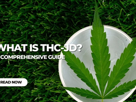 Unveiling THC JD Products Innovators in the Cannabis Market