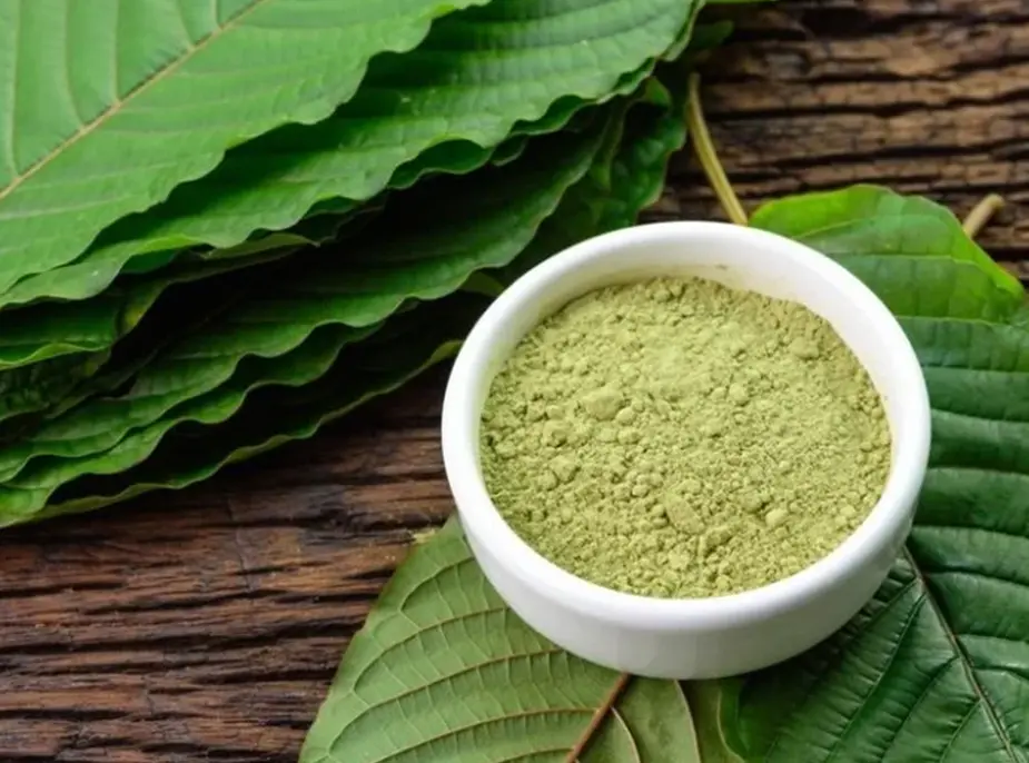 What Is Kratom? Benefits, Side Effects, Where to Find It