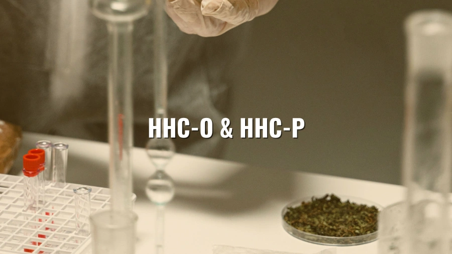 Synthetic Cannabinoids: HHC-O & HHC-P