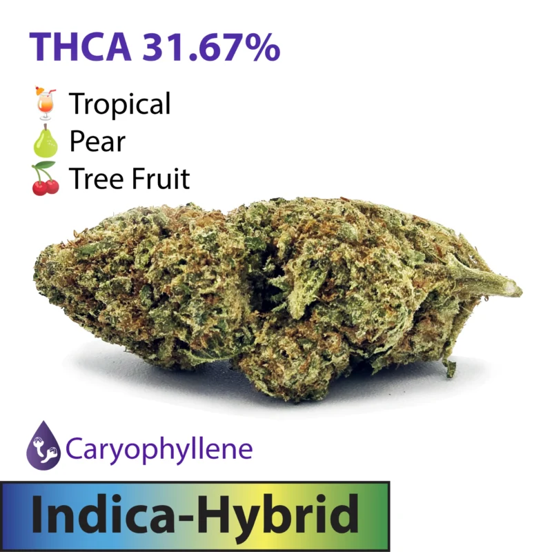 Atomic Belts Strain - Indica Hybrid THCA Flower