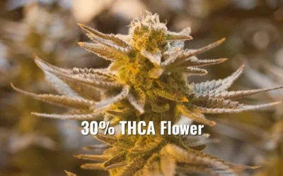 Potent Plants: 30% THCA Flower and Up