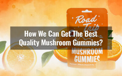 How We Can Get The Best Quality Mushroom Gummies