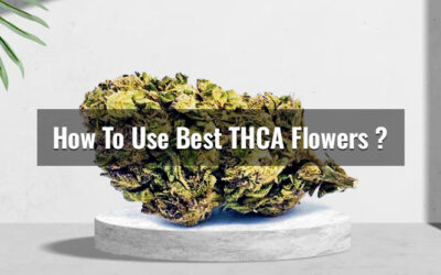 How To Use The Best THCA Flowers?