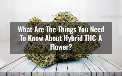 What Are The Things You Need To Know About Hybrid THC-A Flower?